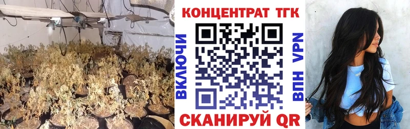 Дистиллят ТГК THC oil  магазин продажи наркотиков  Горячеводский 
