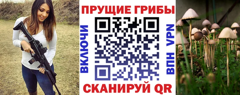 мега   Горячеводский  Псилоцибиновые грибы GOLDEN TEACHER 